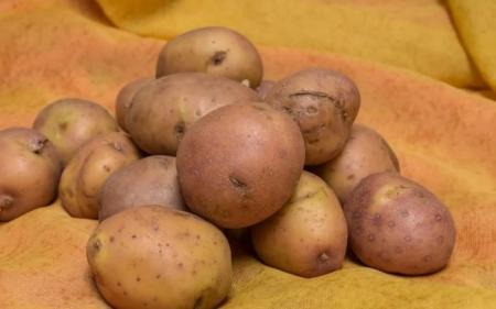 Potato prices are rising again in Ukraine. Find out the current cost per kilogram.