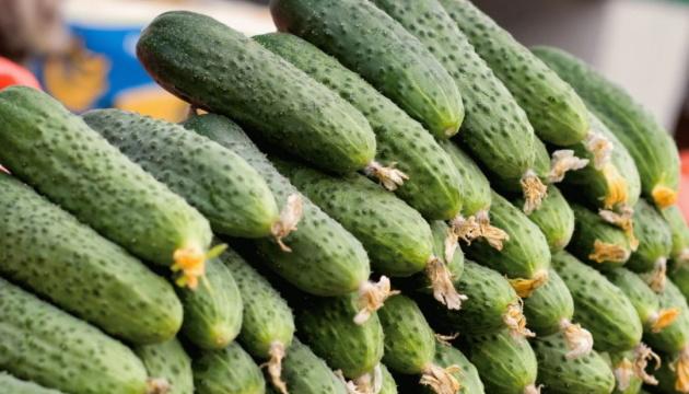 Ukrainian producers are lowering prices on greenhouse cucumbers.