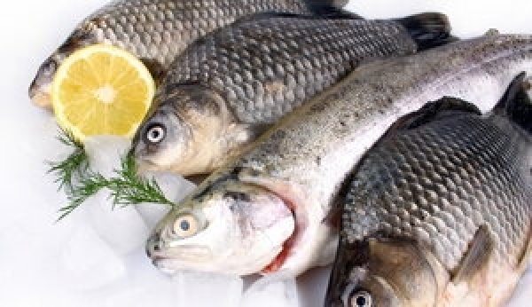 Кувейт відкрив ринок для української риби